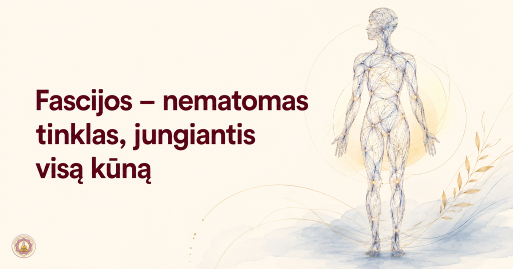 Fascijos – nematomas tinklas, jungiantis visą kūną