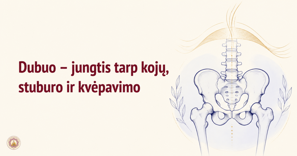 Dubuo – jungtis tarp kojų, stuburo ir kvėpavimo